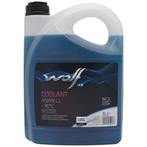 Wolf Koelvloeistof Coolant Asian LL -36°C, Verzenden