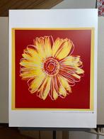 Andy Warhol (1928-1987) - “Daisy Red, 1982”
