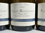 2022 Domaine Jean Chartron Clos du Cailleret Monopole -, Nieuw