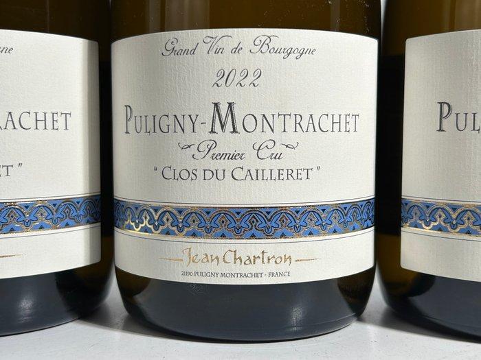 2022 Domaine Jean Chartron Clos du Cailleret Monopole -, Verzamelen, Wijnen
