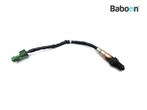 Capteur doxygène KTM 125 Duke 2013-2016, Motoren, Verzenden, Nieuw
