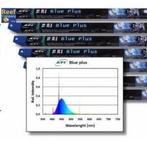 T5 TL 54 watt - Blue Plus - ATI - perfecte blauwe zeewaterla, Dieren en Toebehoren, Vissen | Aquaria en Toebehoren, Verzenden