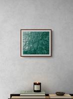 N. Magro - The artists archive I: “New York Botanical