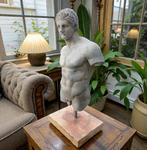 Buste, Dorso Eracle su base marmo - 40 cm - Gegoten steen, Antiek en Kunst, Curiosa en Brocante