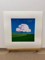 Giò Mondelli (1953) - Albero Fiorito