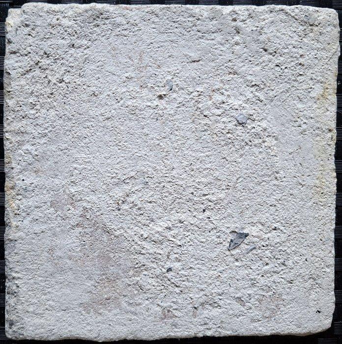 Tegel - Antieke tegel met pauw. - 1600-1650, Antiek en Kunst, Antiek | Glaswerk en Kristal