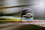 Inna Etuvgi - Drop Inside The Pasque Flower