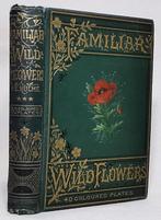 F. Edward Hulme - Familiar Wild Flowers - 1890