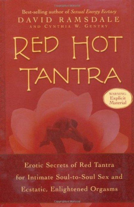Red Hot Tantra - David Ramsdale - 9781592330515 - Paperback, Livres, Ésotérisme & Spiritualité, Envoi