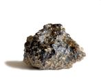 Geweldige Shergottiet-meteoriet van Mars - met transparante