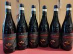 2019 Rhetico  Bolla - Amarone della Valpolicella - 6 Flessen, Nieuw