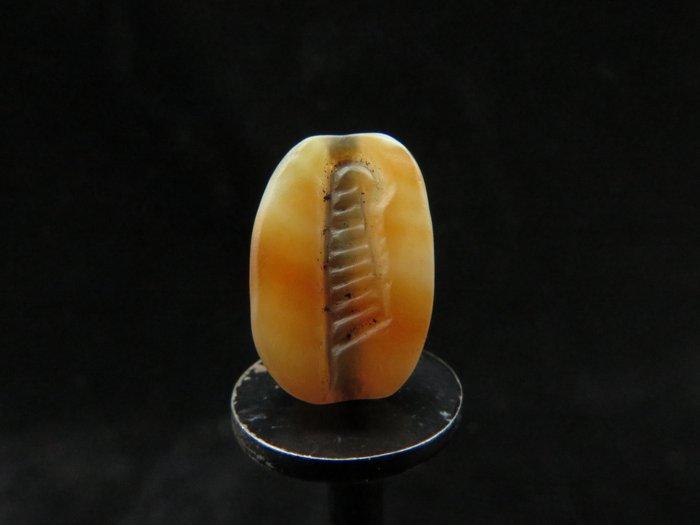 Oud-Egyptisch Kornalijn Skarabeet met Maat-veerdecoratie -, Antiek en Kunst, Antiek | Overige Antiek