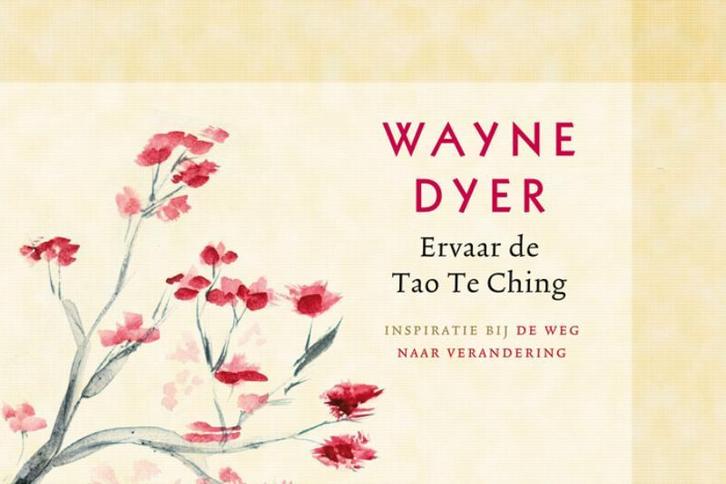 Ervaar de Tao Te Ching 9789021550503 Wayne W. Dyer, Boeken, Esoterie en Spiritualiteit, Gelezen, Verzenden