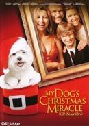 My dogs christmas miracle op DVD, Verzenden