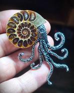Geen reserveprijs Prachtige ammoniet, handgemaakte, Verzamelen