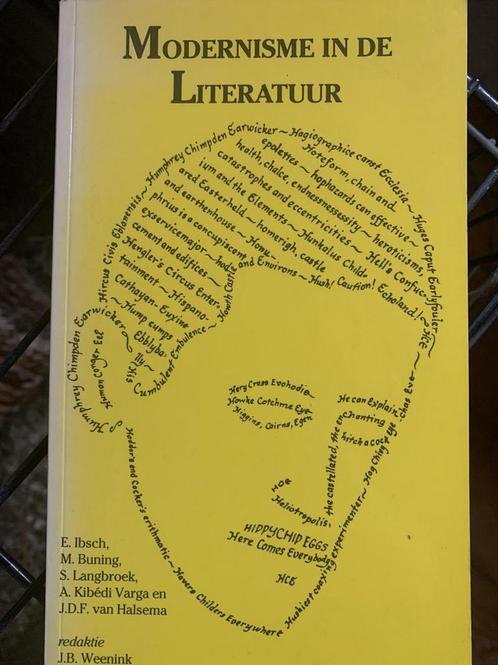 Modernisme in de literatuur 9789053830314, Boeken, Overige Boeken, Gelezen, Verzenden