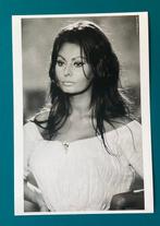 Steve Schaphiro (1934-2022) - Sophia Loren, 1964. Italie., Antiek en Kunst