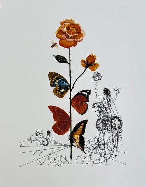 Salvador Dali (1904-1989) - La Rose Papillon, Antiek en Kunst, Antiek | Overige Antiek