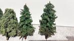 Ultra Realistische modelbouw bomen H0, N, TT - eigen