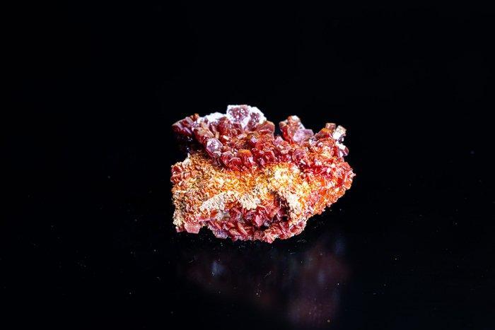 Ongelooflijke Vanadinite kristallijngestold rood vuur –, Verzamelen, Mineralen en Fossielen