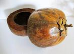 Ijsemmer - Hout - Huls van cocosnoot
