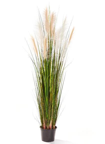 Kunstplant Pijlriet 150 cm, Huis en Inrichting, Kamerplanten, Verzenden