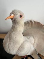 Steiff - Jouet Duif Steiff wit - 1960-1970 - Allemagne