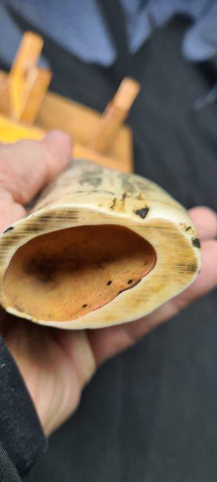 Big Resin reproduction of a sculpted sperm whale tooth
