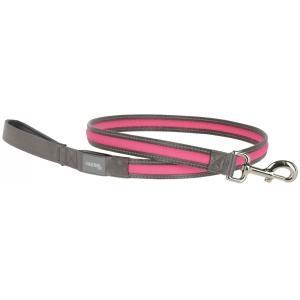 Lichtgevende lijn light & reflex, neon pink, 120 cm, 25 mm -, Dieren en Toebehoren, Honden-accessoires
