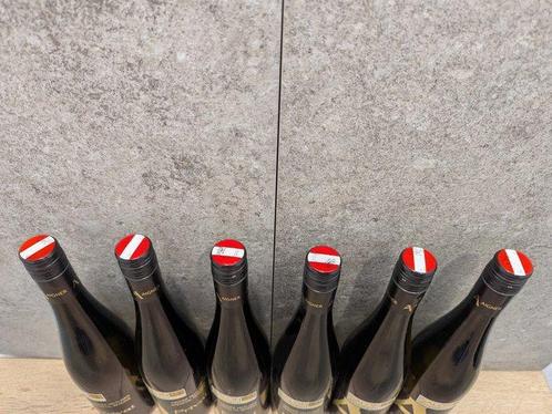 2012 Aigner Grüner Veltliner Privat Kremstal DAC Reserve -, Verzamelen, Wijnen