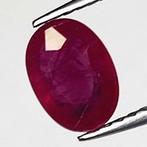 Robijn - 1.40 ct - Instituto Gemólogico Español (IGE) -, Handtassen en Accessoires, Edelstenen, Nieuw