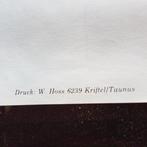 Battlestar Galactica, Galactica III - Conquest of the Earth, Nieuw