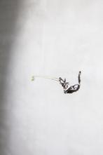 Simone Sirna - Equilibrio