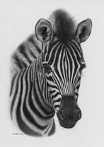 Schu - Zebra, Antiek en Kunst