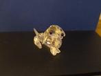 Swarovski - Beeldje - Dachshund mini - 014388 - Box +