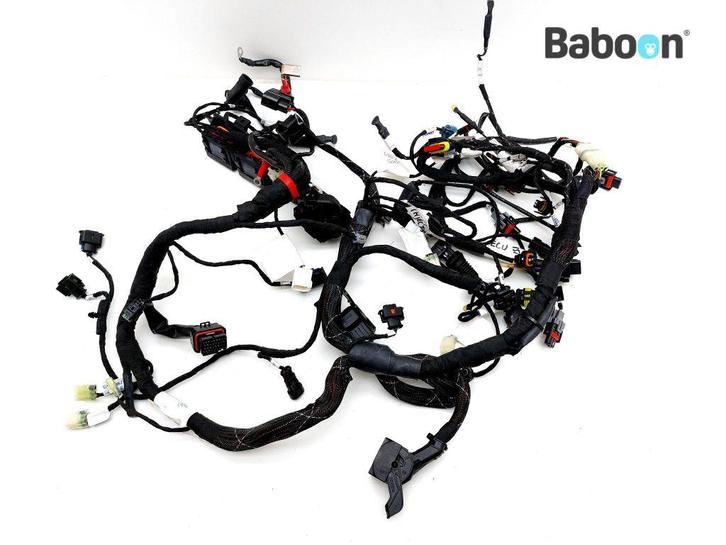 Kabelboom Ducati Multistrada 950 2019-2020 (5101E971B), Motoren, Onderdelen | Ducati, Gebruikt, Verzenden