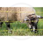 Horizont schapennet horinetz high energy met dubbele punt..., Ophalen of Verzenden