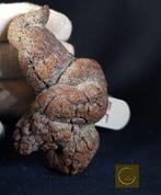 179 g Perfect! Conditie: Fossiel 7,90 x 5,40 cm Fossiel