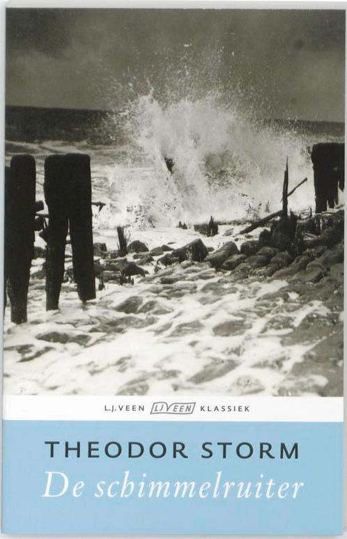 De Schimmelruiter 9789020409697 T. Storm, Boeken, Romans, Gelezen, Verzenden