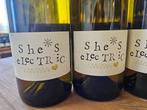 Pierre Borel Shes Electric - Loire Vin de France - 9