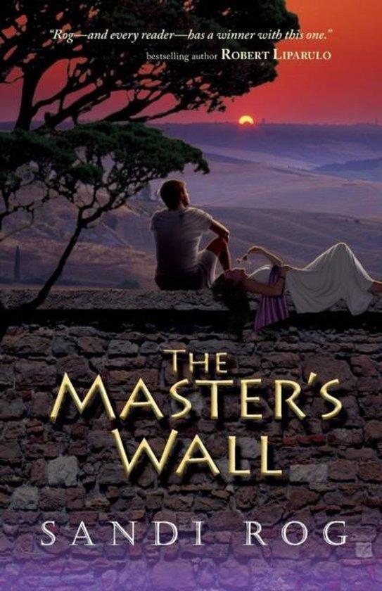 The Masters Wall 9781936341023 Sandi Rog, Boeken, Taal | Engels, Zo goed als nieuw, Verzenden