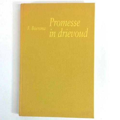 Promesse in drievoud 9789073184022, Livres, Livres Autre, Envoi