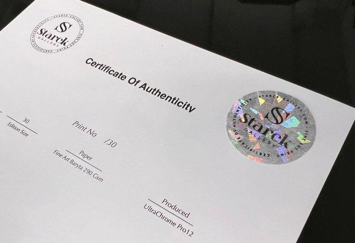 Cobra 1986 - Sylvester Stallone and Brigitte Nielsen - Fine, Verzamelen, Film en Tv