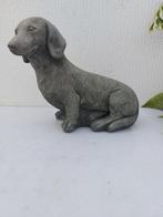 Beeld, pub of a short-haired dachshund - 21 cm - cast stone, Antiek en Kunst