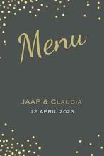 Menukaarten - Menukaart maken Feest met gratis proefdruk, Hobby en Vrije tijd, Overige typen, Gebruikt, Verzenden