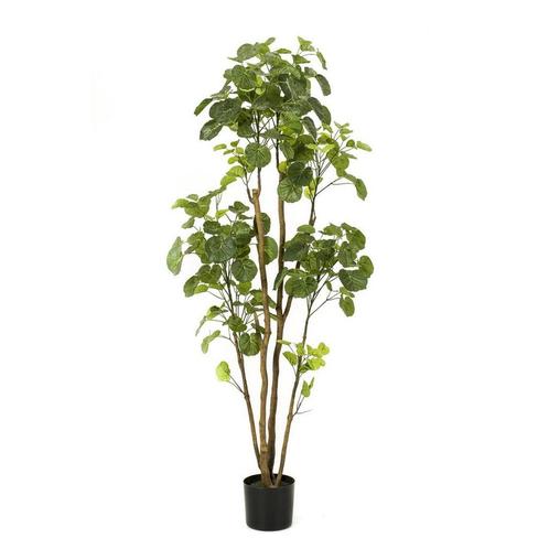 Kunstplant - Polyscias - Aralia - 160 cm, Maison & Meubles, Accessoires pour la Maison | Plantes & Fleurs artificielles