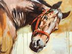 Maria Sochaczewska - Curious one