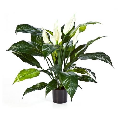 Kunstplant Lepelplant Deluxe 75 cm, Huis en Inrichting, Kamerplanten, Verzenden