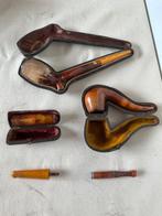 Pijp - Amber, Hout -  (5), Verzamelen, Nieuw