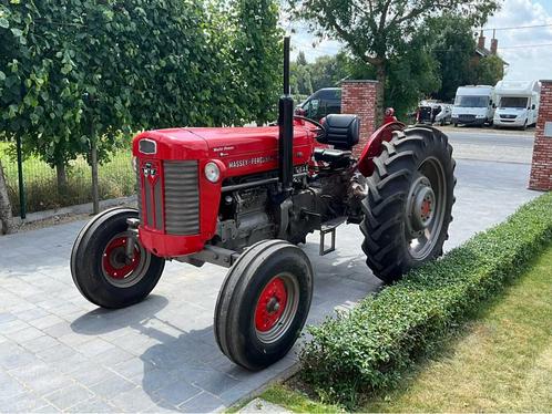 1964 Massey Ferguson Oldtimer tractor, Zakelijke goederen, Landbouw | Tractoren
